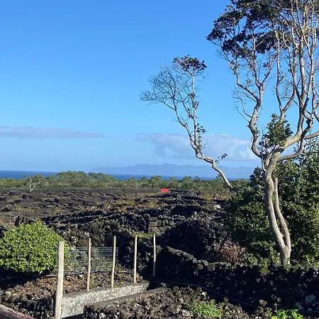 Refugio Da Montanha Apartment *