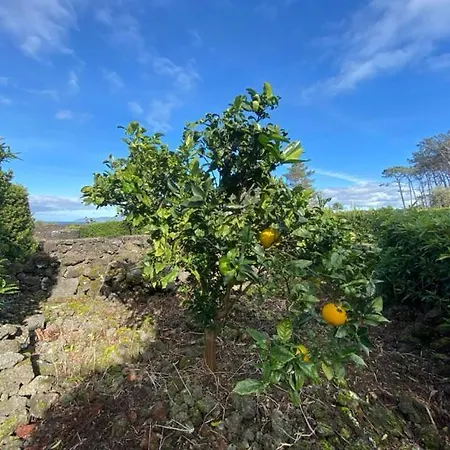 Refúgio Da Montanha