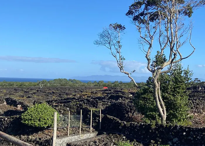 Refugio Da Montanha Lägenhet *